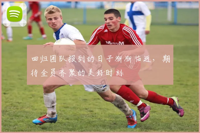 回归团队报到的日子渐渐临近，期待全员齐聚的美好时刻