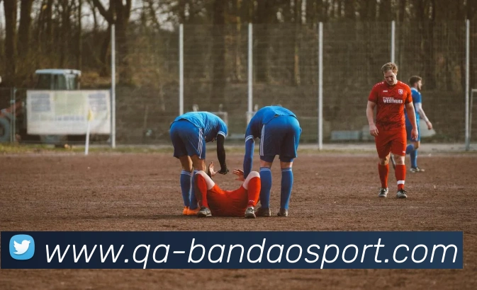 半岛足球体育服务体系