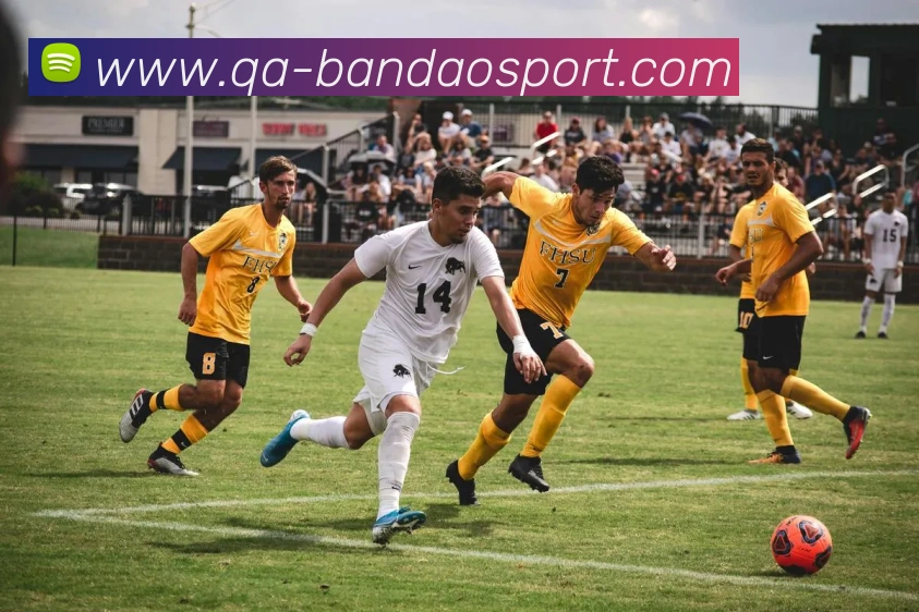 半岛足球体育APP 体育赛事宣传图