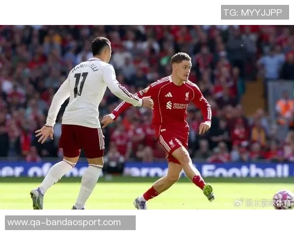 疯狂樱桃重建之路伯恩茅斯夏窗大换血后仅输利物浦一场