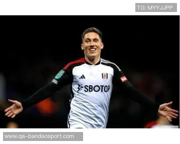 威尔逊谈富勒姆遭遇不公判罚希望未来能有所改善 威尔逊谈富勒姆遭遇不公判罚希望未来能有所改善